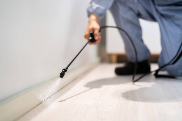 Licensed Termite Control service in Oxoboxo River, CT - Nex Pest Control