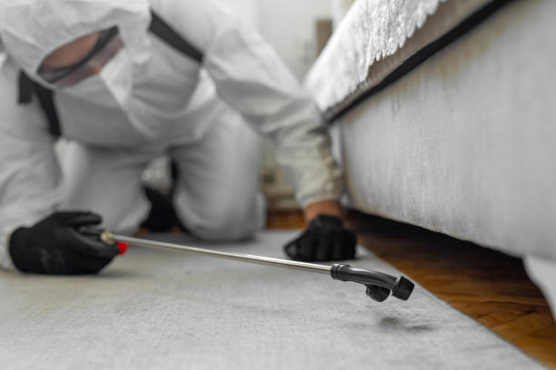 Professional Termite Control technician working in Oxoboxo River, CT