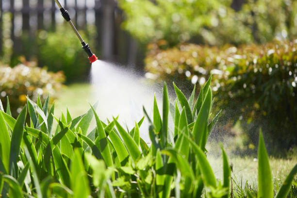 24/7 Emergency Termite Control experts in Oxoboxo River, CT