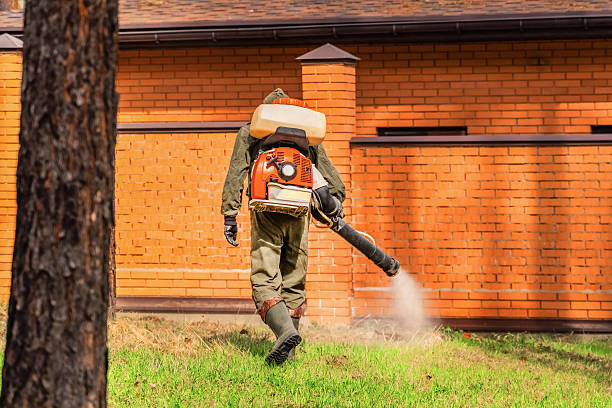 Trusted Termite Control service in Oxoboxo River, CT - Nex Pest Control